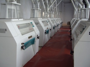 Hoàn toàn tự động mini Ngô ngô bột xay nhà máy đa dụng Ngũ Cốc Hạt với động cơ như thành phần cốt lõi giá cả cạnh tranh - Product Image 5