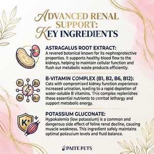 Advanced Senior <strong>Cat</strong> Kidney Supplement 60g <strong>Renal</strong> <strong>Food</strong> Topper Promotes Fluid Balance Low Phosphorus B-Vitamins Private Label - Product Image 2