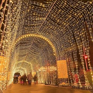 Cool White <b>Twinkle</b> LED String <b>Lights</b> Clear PVC Wire IP65 Waterproof 10M 100 Beads <b>Christmas</b> Outdoor Holiday Festive Decor - Product Image 4