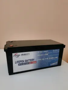 Custom RV EV camper deep cycle lifepo4 batteria 12v 24V100ah 200ah 300ah batteria ricaricabile impermeabile per esterni