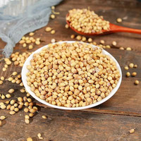 HUAOU Vente en gros Prix bon marché Coriandre Graines de coriandre d'Inde épices et herbes de qualité supérieure