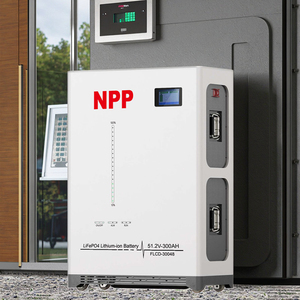 Power Solar Energy Storage Split Home <b>Battery</b> 5kWh-20kWh 51.2V Wall-<b>Mounted</b> Hybrid Grid CAN Communication 5-Year NSFG100P10 Home - Product Image 2