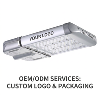 Modules LED haute puissance pour éclairage public 100W 150W 200W 300W IP66 étanches pour autoroute et route