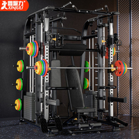 Machine Smith multifonction personnalisée en gros, cage de musculation, rack à squats avec système de traction latérale intégré