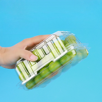 Barquettes en plastique PET écologiques jetables Yoko pour fraises, cerises, tomates, emballages alimentaires pour animaux de compagnie