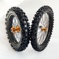 Ensemble de roues et pneus pour moto électrique tout-terrain 70/100-19 90/100-16 pour moto électrique Surron Light Bee