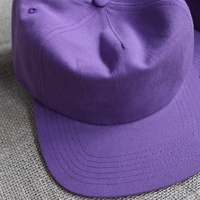 Gorras de Béisbol Personalizables con Logotipo, Estilo Hip Hop, Unisex, para Adultos, de 5 Paneles, sin Estructura, con Visera Plana, 100% Algodón, MOQ Bajo, Gran Venta