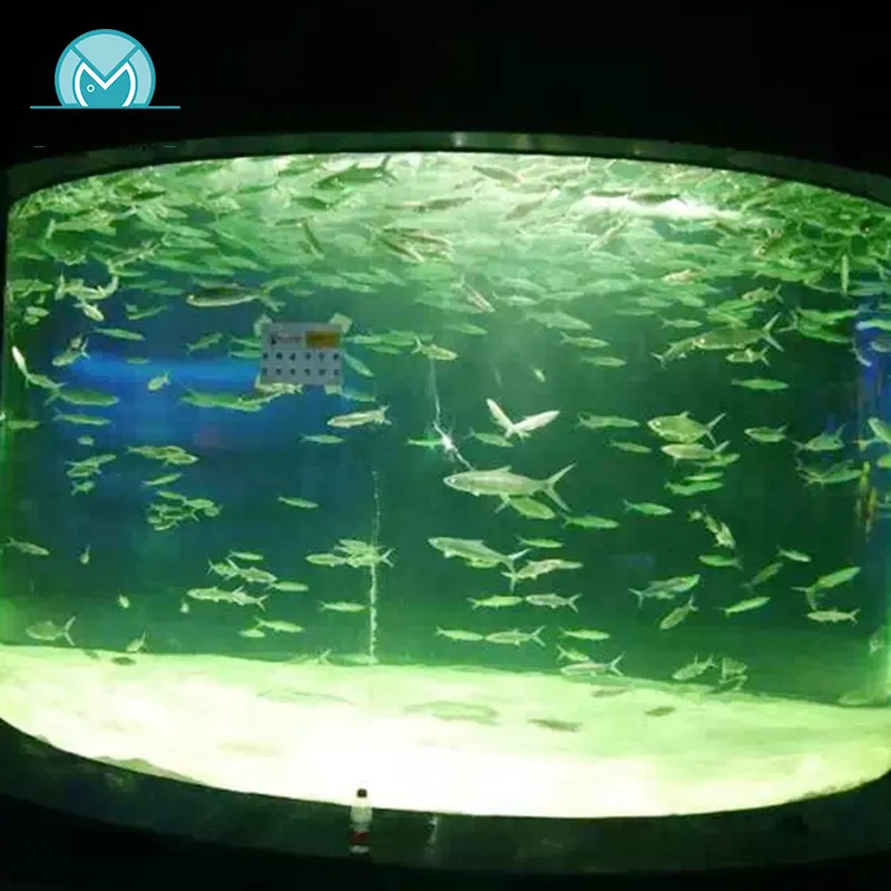 Aquarium en acrylique de forme ronde, support en verre, fourniture directe depuis l'usine