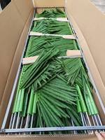 Branche de feuille de palmier artificielle de 220 cm, feuilles de plantes artificielles, verdure artificielle, feuillage pour la décoration de la maison et du bureau