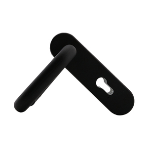 Thị trường Nga Polymer lớp phủ xử lý 60 phút thử nghiệm cửa xử lý đầy đủ với sắt Bản lề cửa kính xử lý Ant cháy cửa - Product Image 1