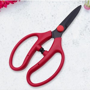 Tijeras de podar de 60 mm de acero al carbono con cabeza recta para jardinería de árboles frutales y flores. - Product Image 1