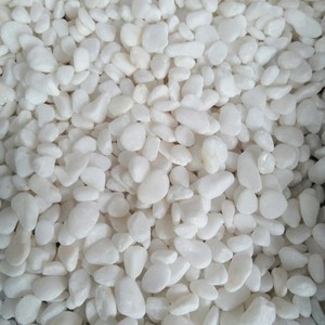 Plante du Vietnam en gros, décoration d'aquarium de poissons, galets blancs, aménagement paysager, jardin, galets - Product Image 3