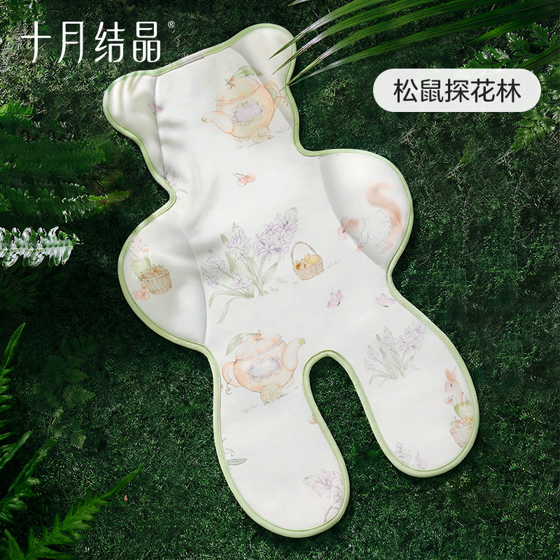 Squirrel Explores the Forest