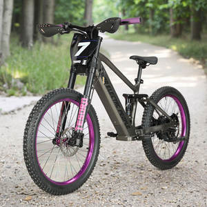 Vélo Électrique d'Équilibre Personnalisé de Course 24 Pouces 48V 15Ah 1500W Grande Puissance Moteur 70Km/h pour Enfants, Jeunes et Adolescents - Product Image 1