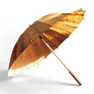 Paraguas Clásico Chino de Madera Sólida con Mango Largo y Apertura Automática, Ideal para Regalos - Product Image 2