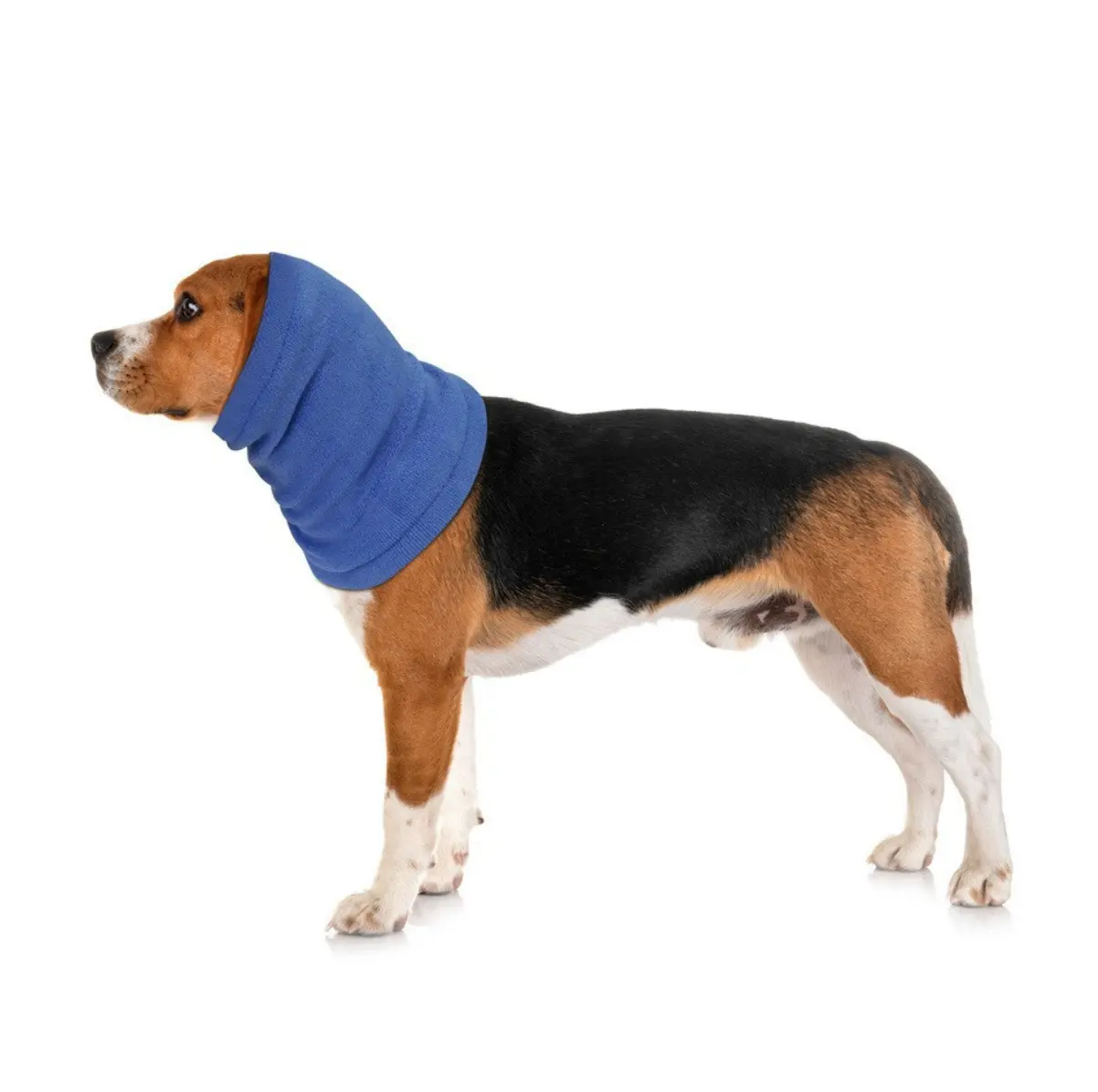 Anti-geluid Huisdier Oorbeschermers Rustgevende Huisdier Angst Oorbeschermers Noise Bescherming Kalmerende Oorbeschermers Voor Huisdier Accessoires Winter Hond Oor Cover