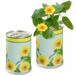 Lata con Semillas, Gadgets Ecológicos Personalizados - Product Image 1