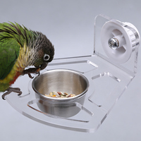 Mangeoire suspendue pour perroquets en acrylique transparent écologique et portable avec poteau givré pour perroquets et oiseaux de compagnie