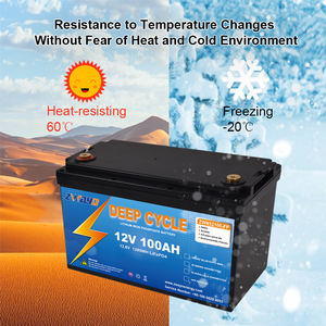 Garansi 10 Tahun Baterai Lithium 200Ah 200Ah untuk Penyimpanan Tenaga Surya Lithium 3.2V 50AH 100AH - Product Image 6