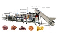 Machine professionnelle de traitement des dattes Medjool, machine automatique de lavage, de dénoyautage et d'emballage des dattes, ligne de traitement des dattes
