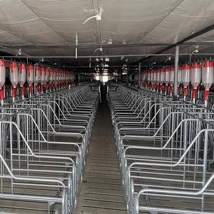 Sistema de Línea de Alimentación Automática de Precisión para Granjas de Cerdos |   Equipo para Alimentación de Ganado que Reduce el Desperdicio - Product Image 2