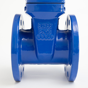 Fabricant chinois de vannes à opercule à bride en fonte ductile robuste à siège résilient pour l'alimentation en eau industrielle PN10 PN16 - Product Image 2