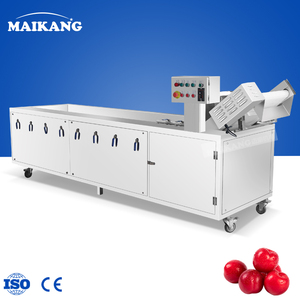 Machine industrielle de nettoyage de fruits grande capacité, composants électriques personnalisés, ligne de lavage de légumes haute efficacité - Product Image 5