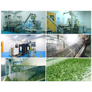 Matcha Orgánico Halal al por Mayor en Polvo para el Mercado de Bebidas de España y Latinoamérica - Product Image 4