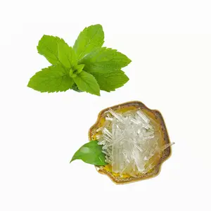 Chinese Natural Mint Menthol Plant Crystal 99% Purity Price