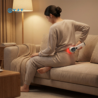 Appareil de thérapie au laser froid portatif professionnel pour animaux de compagnie - Grade vétérinaire LLLT 650nm 808nm pour l'arthrite et la cicatrisation des plaies