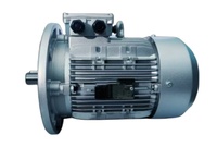 5.5KW 1500 Rpm Ac 1 Phase 220V Moteur électrique 7.5HP