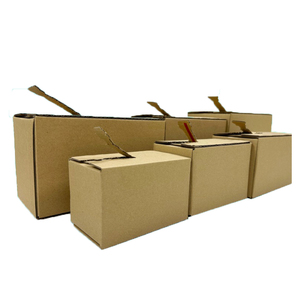 Scatole in Cartone Goffrato Super Resistenti con Cerniera per Imballaggio Cosmetico, E-commerce e Spedizioni Express - Product Image 1