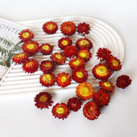 Daisy colorée tête de fleur séchée en gros bricolage matériel paquet paille chrysanthème vraie fleur matériel décoration