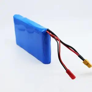 Customized dimension 18650 7s1p 25.9v li ion battery pack with BMS