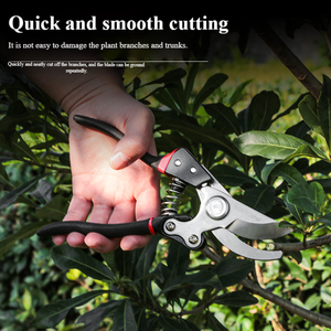 Forbici da <span class=keywords><strong>Potatura</strong></span> Professionali con Molla Rinforzata, Impugnatura Antiscivolo Ergonomica per la <span class=keywords><strong>Potatura</strong></span> <span class=keywords><strong>di</strong></span> Meli - Product Image 6