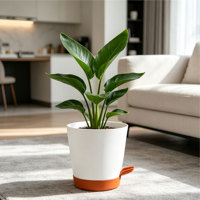 Pot de fleurs auto-arrosant en plastique PP moderne et durable avec trous de drainage, capacité de 5,71 L, design minimaliste pour une utilisation en intérieur/extérieur