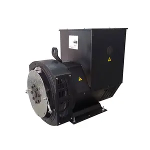 ASG224E 60KVA 40KW 46.4KW 48KW 50KW 54KW 56KW 57KW 58KW 60KW brushless AC Alternator