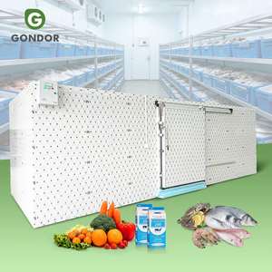 Cámara Frigorífica <span class=keywords><strong>de</strong></span> 2, <span class=keywords><strong>3</strong></span>, 5 y 100 Toneladas para Carnicería, Almacenamiento Profundo, Congelador para Frutas y Verduras - Product Image 1