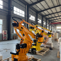 Robot de palettisation pour entrepôt logistique, capacité de charge de 3 kg, 10 kg, 15 kg, 20 kg, 25 kg, 30 kg, 40 kg, 50 kg, pour la manutention de palettes en plastique/papier/marchandises
