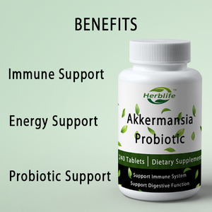 Suplemento Probiótico Akkermansia OEM/ODM, 240 Tabletas, 100 Millones de UFC, Probióticos para Hombres y Mujeres, Apoyo Digestivo - Product Image 3