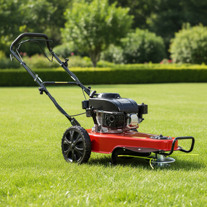 Tondeuse à gazon autotractée à essence 4 temps avec poignée pliable 3000 tr/min pour l'entretien des jardins - Offre Spéciale - Product Image 2