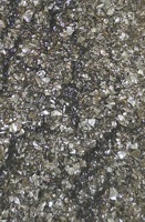 Support filtrant granulaire Fe(OH)3 haute efficacité pour l'élimination de l'asphénium dans l'eau potable, taille des particules 0,3-2,0 mm, capacité d'adsorption 6(As5+)g/kg