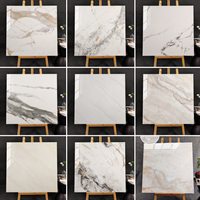 Carreaux de sol en porcelaine de luxe léger 600x600mm 9mm d'épaisseur résistants à l'usure antidérapants antibactériens pour murs intérieurs de hall
