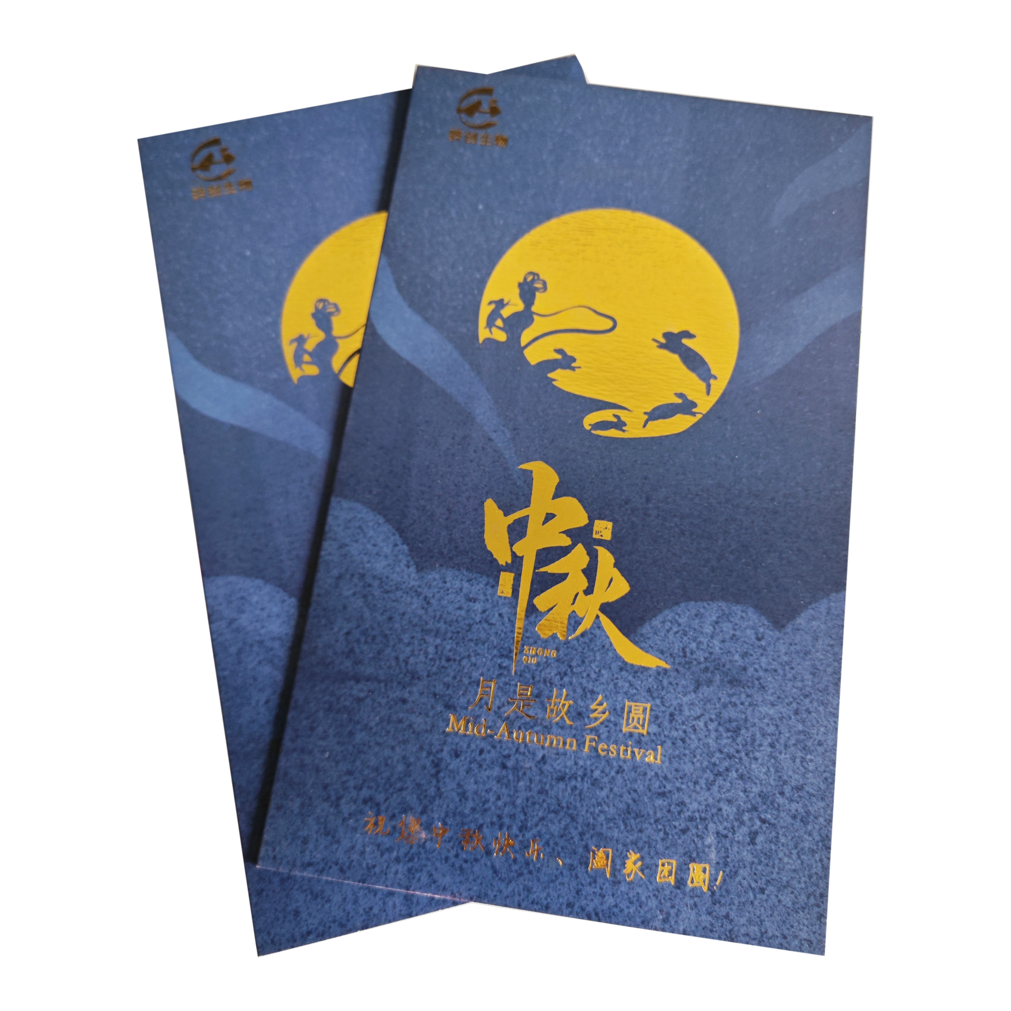 Custom Double Sided Printing Design Color Paper Brochure Folding Flyer Printing