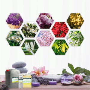 Aceite <span class=keywords><strong>de</strong></span> Fragancia <span class=keywords><strong>de</strong></span> Almizcle Blanco para Fabricación <span class=keywords><strong>de</strong></span> Velas, Jabones <span class=keywords><strong>y</strong></span> Perfumes - Grado Premium, Seguro para la Piel, No Tóxico, Altamente Perfumado |   Precio al por Mayor 1kg - Product Image 5