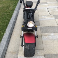 Motocicleta Eléctrica para Adultos, Scooter Eléctrico Citycoco de Bajo Consumo, Batería Nueva