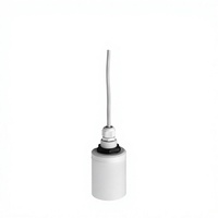 Sonde de mesure de niveau à ultrasons E+H Endress+Hauser FDU91, portée de mesure liquide 10m, portée de mesure solide 5m, fabriquée en Chine continentale