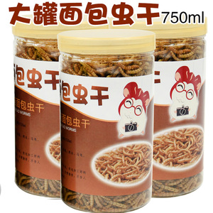 Crown Asia <b>Dried</b> <b>Mealworms</b> 750ml Can For Hamsters Small Animal Feeder Reusable Plastic Container - Product Image 4