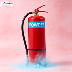 Estintore a Polvere Secca da 1kg, 2kg, 3kg, 4kg, 5kg, 6kg, 9kg, 12kg, Accessori per Attrezzature Antincendio - Product Image 2