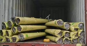 Barres plates en <span class=keywords><strong>acier</strong></span> inoxydable laminées à chaud et à froid, catégories assorties 201 202 304 304L 301 301L 316 316L 321 430 904L SS - Product Image 6